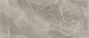 ELEGANCE GREIGE 60х120