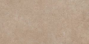 PANGEA TIERRA 60X120 REC.