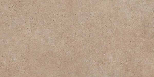 PANGEA TIERRA 60X120 REC.