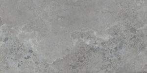 PIETRA VIVA GREY 60X120