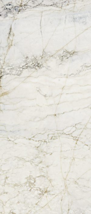 OXYD JEWEL POL RECT 120X280
