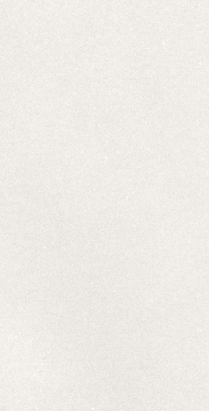 CAPRICE WHITE RECT 60X120