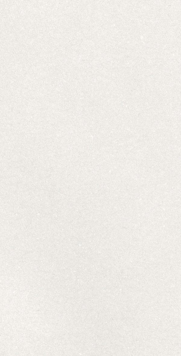 CAPRICE WHITE RECT 60X120
