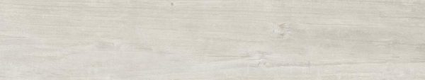 QUERCUS BETULLA 22X120