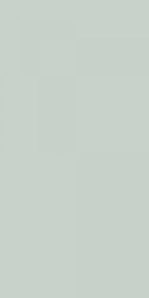 SIROS MENTA 60X120 REC.