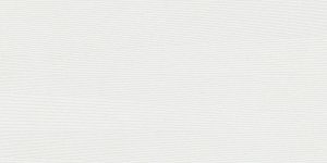 TASMANIA BLANCO 60X120 REC.