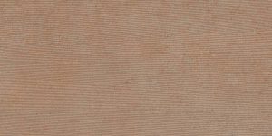 TASMANIA TIERRA 60X120 REC.