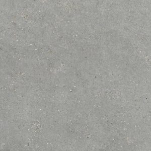MITICA GRIS 120X120 REC.