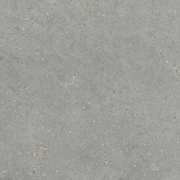MITICA GRIS 120X120 REC.