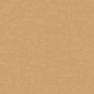 КЕРАМИЧЕСКИЙ ГРАНИТ W&S FL. RAINBOW SENAPE 120X120