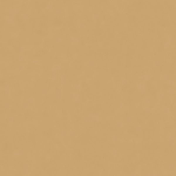 КЕРАМИЧЕСКИЙ ГРАНИТ W&S FL. RAINBOW SENAPE 120X120