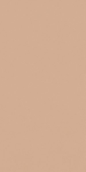 КЕРАМОГРАНИТ HBE BIOTERRE TERRA HBE 6 60X120 RETT