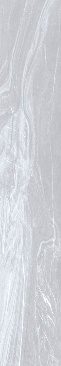 КЕРАМОГРАНИТ LUXE  ASH  LEV RET 20X120
