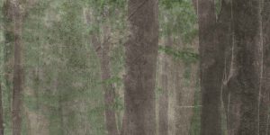 КЕРАМИЧЕСКАЯ ПЛИТКА  W&S D+ CP4 WOODS A   120X240