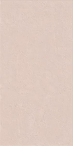 КЕРАМИЧЕСКАЯ ПЛИТКА WIDE&STYLE MINI POWDER RET 60Х120