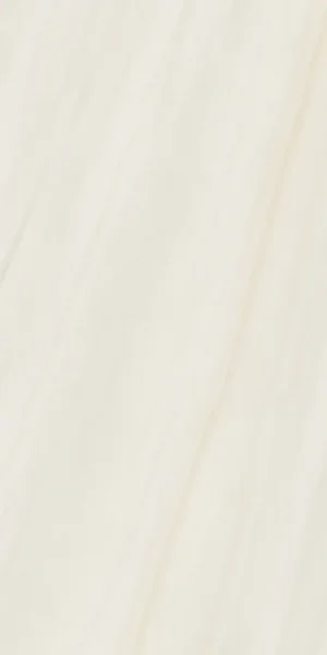 ПЛИТКА ANIMA WONDER SNOW 60X120 LISCIO MATT