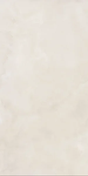 ПЛИТКА ANIMA EVER ROYAL ONYX MATT R10B 60X120