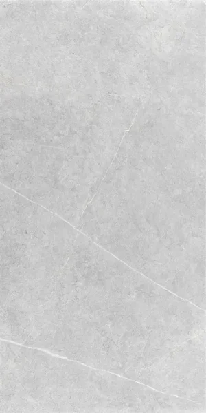 ПЛИТКА NORTHON LIGHT GREY MT 60X120