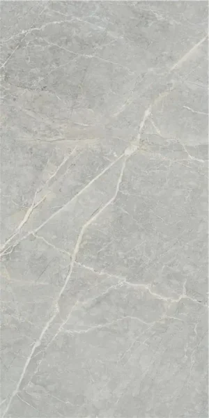ПЛИТКА SYRAH LIGHT MT 60X120