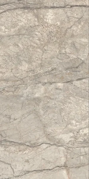 ПЛИТКА ANIMA FUTURA AMAZING SILVER 60X120 LISCIO MATT