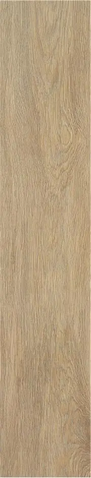 ПЛИТКА TACORA CAMEL MT 23X120