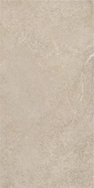 ПЛИТКА ARENITE NATURAL MT 60X120