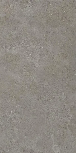 ПЛИТКА ARENITE DARK GREY MT 60X120
