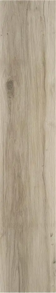ПЛИТКА BLAZE NATURAL MT 23X120