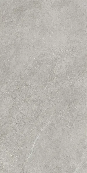 ПЛИТКА ARENITE GREY MT 60X120