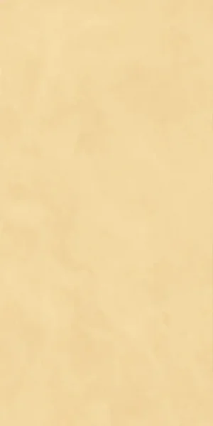 ПЛИТКА JOIN MANGO 60X120 SOFT
