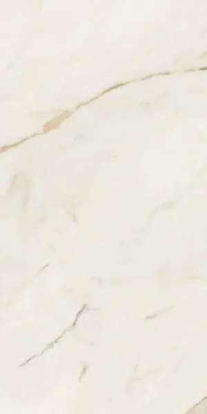 ПЛИТКА ANIMA FUTURA GOLDEN WHITE 60X120 LISCIO MATT