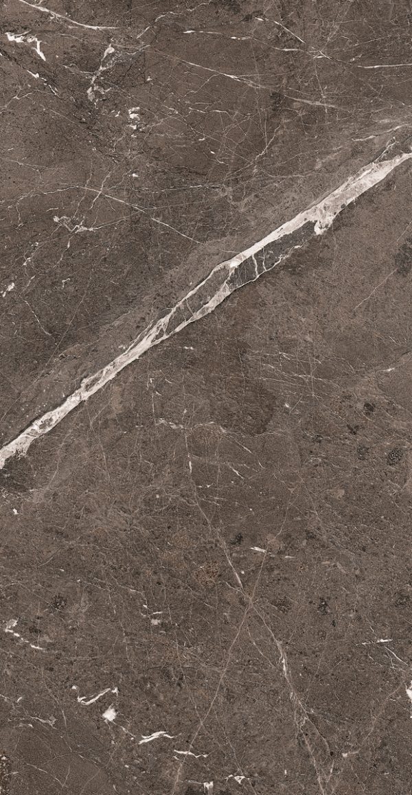 КЕРАМОГРАНИТ HERITAGE LUXE BROWN GLOSS.9MM 60X120 RET — изображение 2