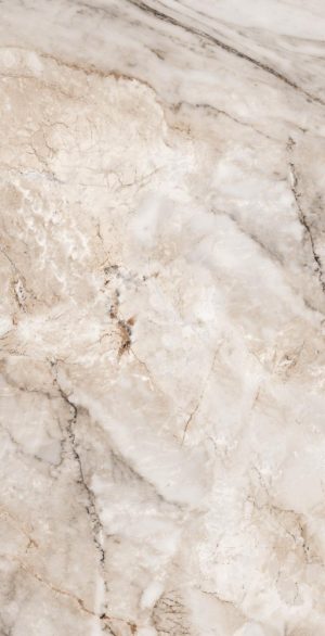 Керамическая плитка 60*120 PAONAZZATO NATURAL GLOSSY B (х) КЕРАМИЧЕСКАЯ ПЛИТКА 60*120 PAONAZZATO NATURAL GLOSSY B (Х)