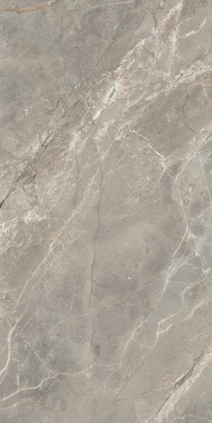 КЕРАМОГРАНИТ  ETOILE GRIS GLO 6MM 60X120 RET
