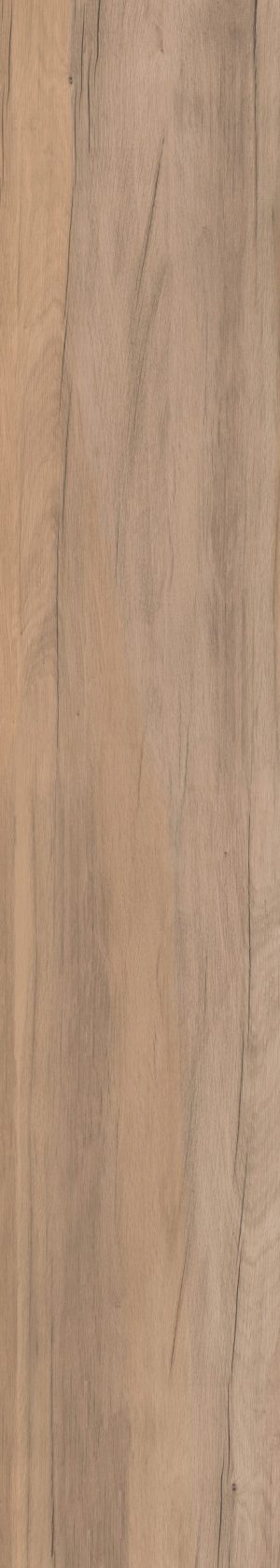 ПЛИТКА НАПОЛЬНАЯ DOLPHIN CLAY AGED RETT. 20X120