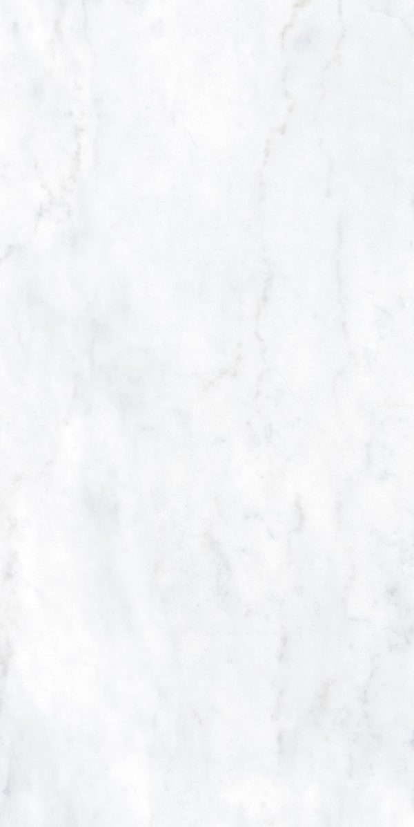 КЕРАМИЧЕСКАЯ ПЛИТКА BIANCO BERNINI NAT RETT. 10MM	60X120 — изображение 2