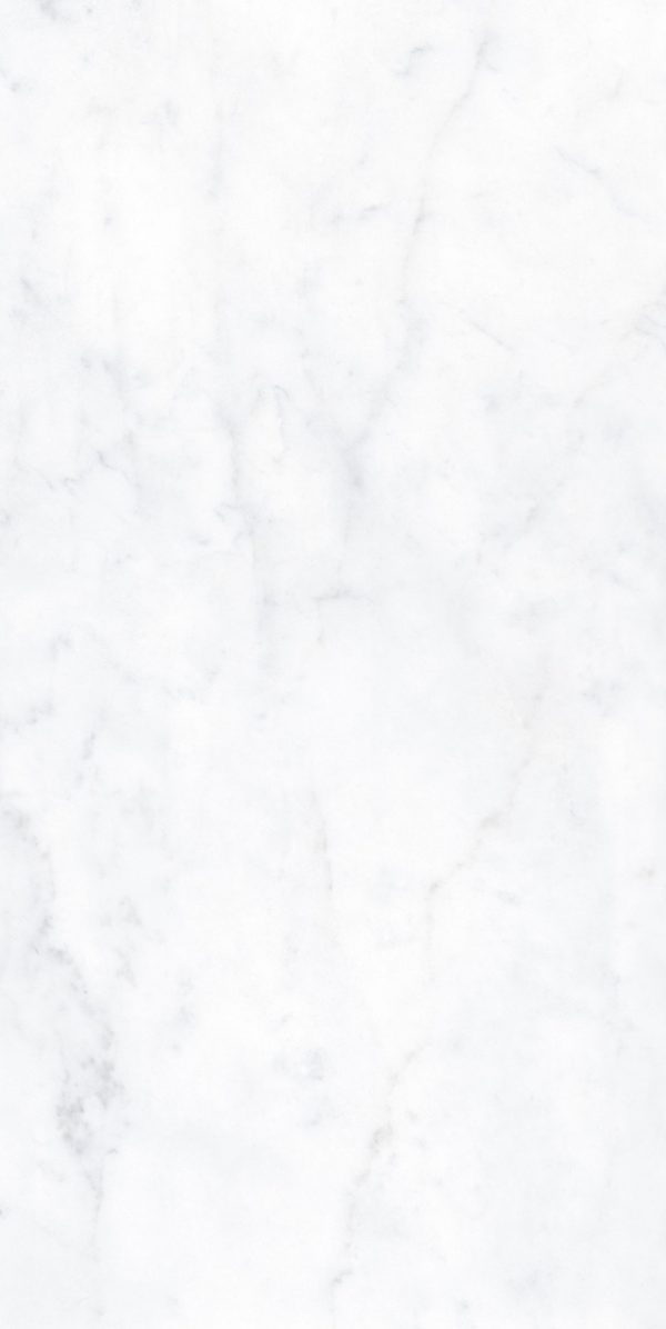 КЕРАМИЧЕСКАЯ ПЛИТКА BIANCO BERNINI NAT RETT. 10MM	60X120 — изображение 3