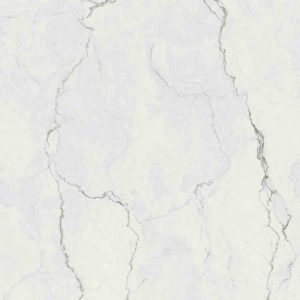 КЕРАМОГРАНИТ SPR.MEMOR. QUARZ.LUNA NAT R120X120