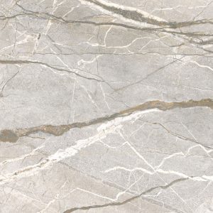 КЕРАМИЧЕСКАЯ ПЛИТКА  SUPREME HEDONISM SILV. ROOTS LU3 R 120X120