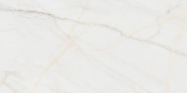 КЕРАМОГРАНИТ ARTKERA GROUP PURE MARBLE GOLD 60Х120 (1,44) GP60120PUR09M — изображение 7