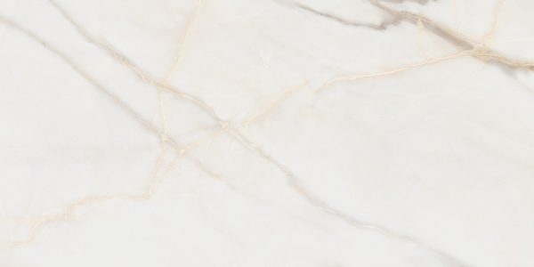 КЕРАМОГРАНИТ ARTKERA GROUP PURE MARBLE GOLD 60Х120 (1,44) GP60120PUR09M — изображение 10
