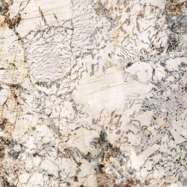КЕРАМОГРАНИТ NOBILE BLANC DU BLANC RET	120X120 — изображение 2