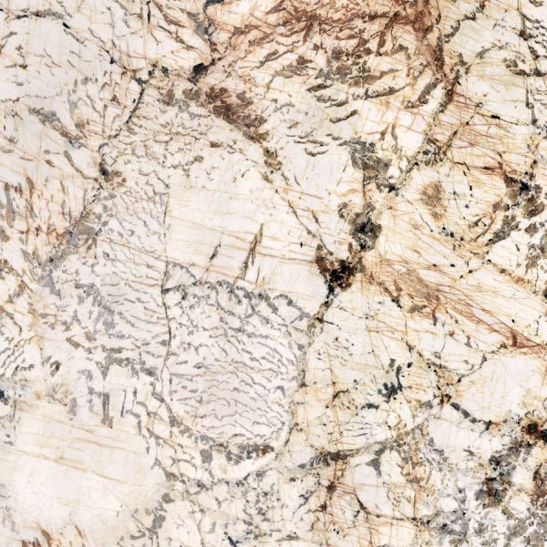 КЕРАМОГРАНИТ NOBILE BLANC DU BLANC RET	120X120 — изображение 4