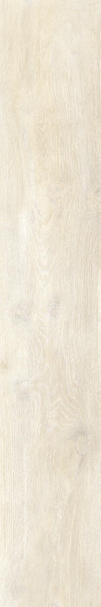 КЕРАМИЧЕСКИЙ ГРАНИТ STEAM WORK IVORY 20X120