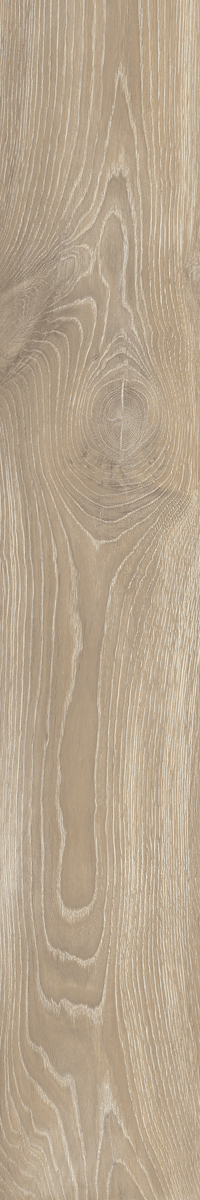КЕРАМИЧЕСКИЙ ГРАНИТ STEAM WORK OAK 20X120