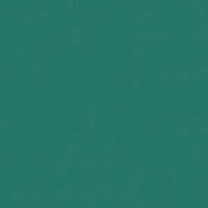 КЕРАМИЧЕСКИЙ ГРАНИТ  W&S FL. RAINBOW BOSCO 120X120