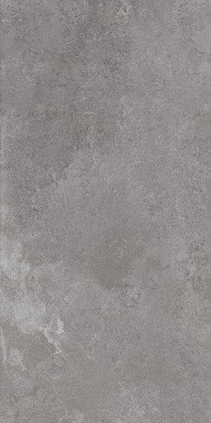 КЕРАМИЧЕСКАЯ ПЛИТКА ALPES LEAD RET 80X160
