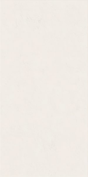КЕРАМИЧЕСКАЯ ПЛИТКА WIDE&STYLE MINI SNOW RET 60Х120
