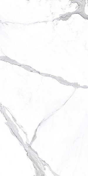 КЕРАМОГРАНИТ VIENMATCH ALTO STATUARIO L POLISHED
