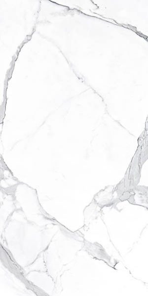 КЕРАМОГРАНИТ VIENMATCH ALTO STATUARIO C POLISHED